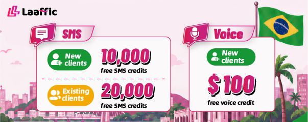 Brazil SMS Credit Campaign